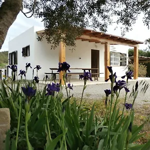 Сasa de vacaciones Sa Vinya, Es Cubells